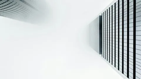 AI & Automation